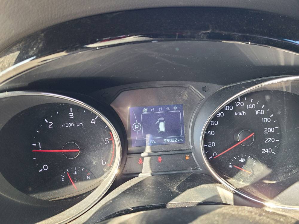 KIA CARNIVAL 2018